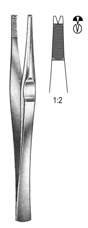 Lanes Tissue Fcps 1x2T 18cm