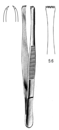 Lerche Tissue Fcps 5x6T 15cm
