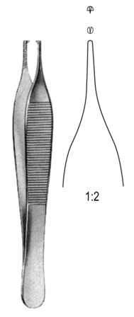 Adson Tissue Fcps 1x2T, w/ cross serr 12cm