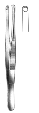 Durante Tissue Fcps 14.5cm