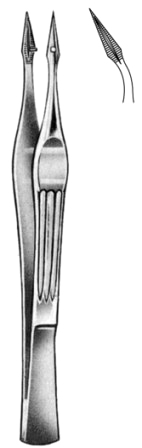 Walter Carmalt Splinter Fcps cvd 10.5cm