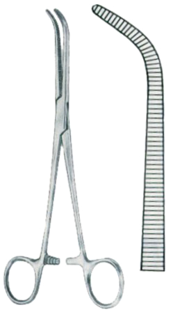 Johns Hopkins Dissecting Forceps BJ 20cm/8"