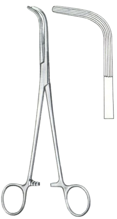 Mc Quigg-Mixter Gall Stone Clamps BJ 22cm/8 3/4"