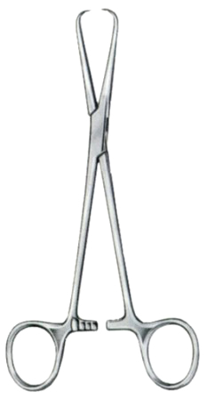 Barnhard Towel Forceps BJ 16.5cm/6 1/2"