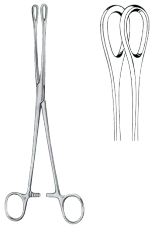 Foerster Sponge Holding Forceps BJ Straight 25cm/10" Smooth