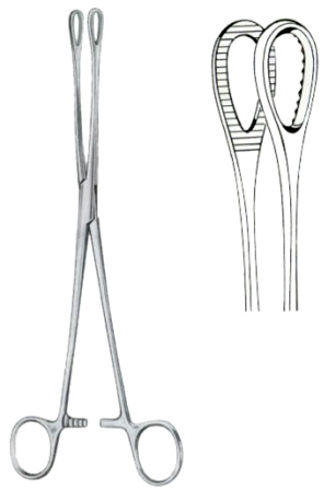 Foerster Sponge Holding Forceps BJ Straight 18cm/7" Serrated