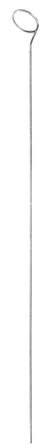 Strippers Endarterectomy   8.5mm 55cm/21 1/2"