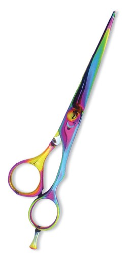 Professional Barber Scissors