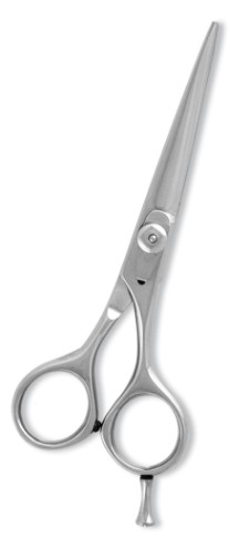 Professional Barber Scissors