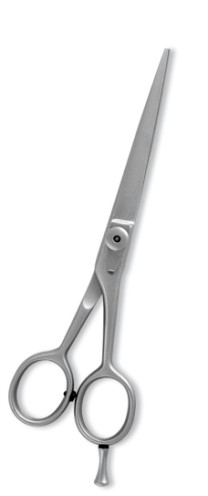 Professional Barber Scissors