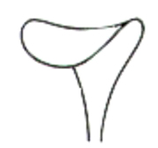 Wound Retractors 10mm 16cm/6 1/4"