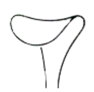 Wound Retractors 12mm 16cm/6 1/4"