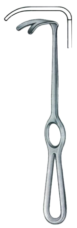 Wassmund Retractors 20cm/8"