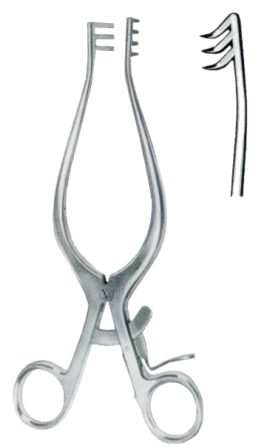 Weitlaner Retractors 3x4 Teeth Sharp 25cm/10"