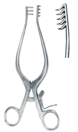 Weitlaner Retractors 5x6 Teeth Sharp 25cm/10"