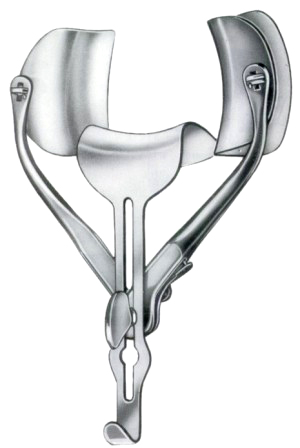 Retractors Only 30cm/12" Fig # 2