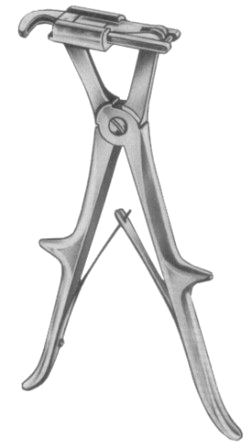 Sauerbruch Rib Shear  24cm/9 1/2"