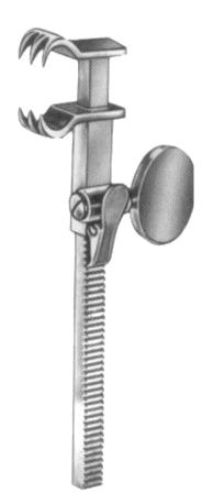 Bailey-Baby Rib Contractors 14cm/5 1/2"