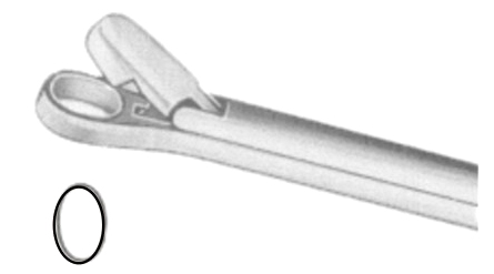 Grunwald Nasal Cutting Forceps Fig # 2