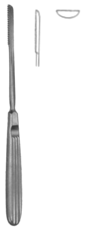 Rasps With Tungsten Carbide Inserts 19cm/7 1/2"
