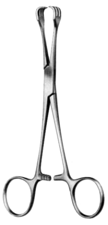 Lahey Goitre Seizing Fcps 3x3T, 20cm