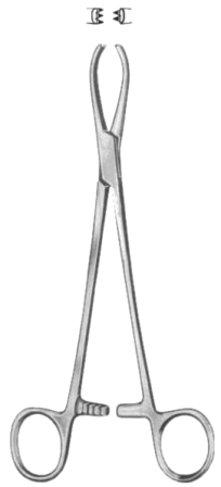 Littlewood Intestinal Tissue Forceps BJ 18.5cm/7 1/4"