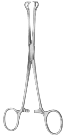 Babcock (Standard) Tissue Forcpes BJ 24cm/9 1/2"