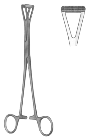 Intestinal Tissue Forceps BJ 20cm/8"  Atrauma
