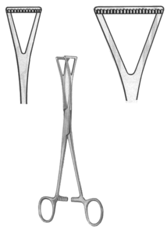 Duval Organ Grasing Forceps BJ 20cm/8"