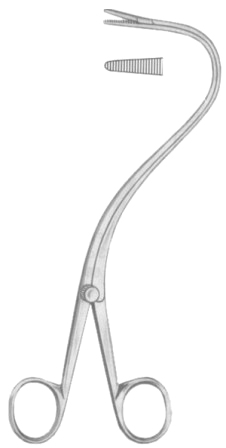 Elsasser Nephrostomy Forceps 20cm/8"