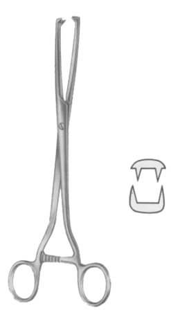 Museux Tenaculum Forceps BJ 2:2 Straight 10mm 24cm/9 1/2"
