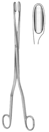 Winter Placenta Ovum Forceps SJ Curved 28cm/11"