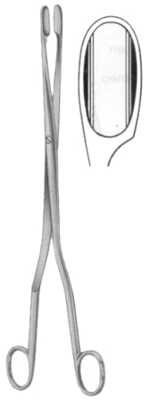 Winter Placenta Ovum Forceps SJ Curved 28cm/11"
