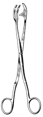 Rogge Sterilizing Fcps 23cm